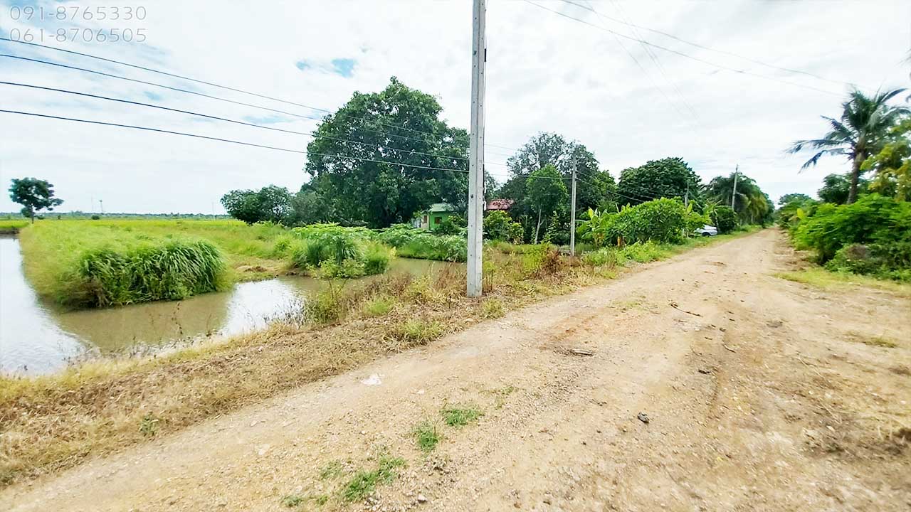 ขายที่ดินคลอง8 บึงบอน ปทุมธานี 133ตรว ถมแล้ว เหมาะปลูกบ้านสวน บรรยากาศดี น้ำไฟครบ ขายราคาถูก